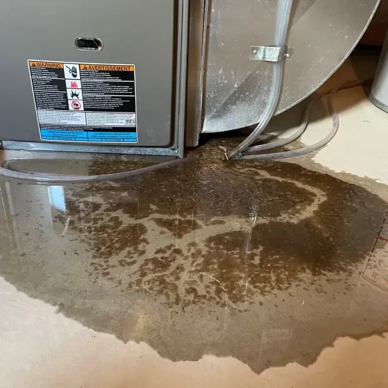 Appliance Leak Cleanup in Walton, KY